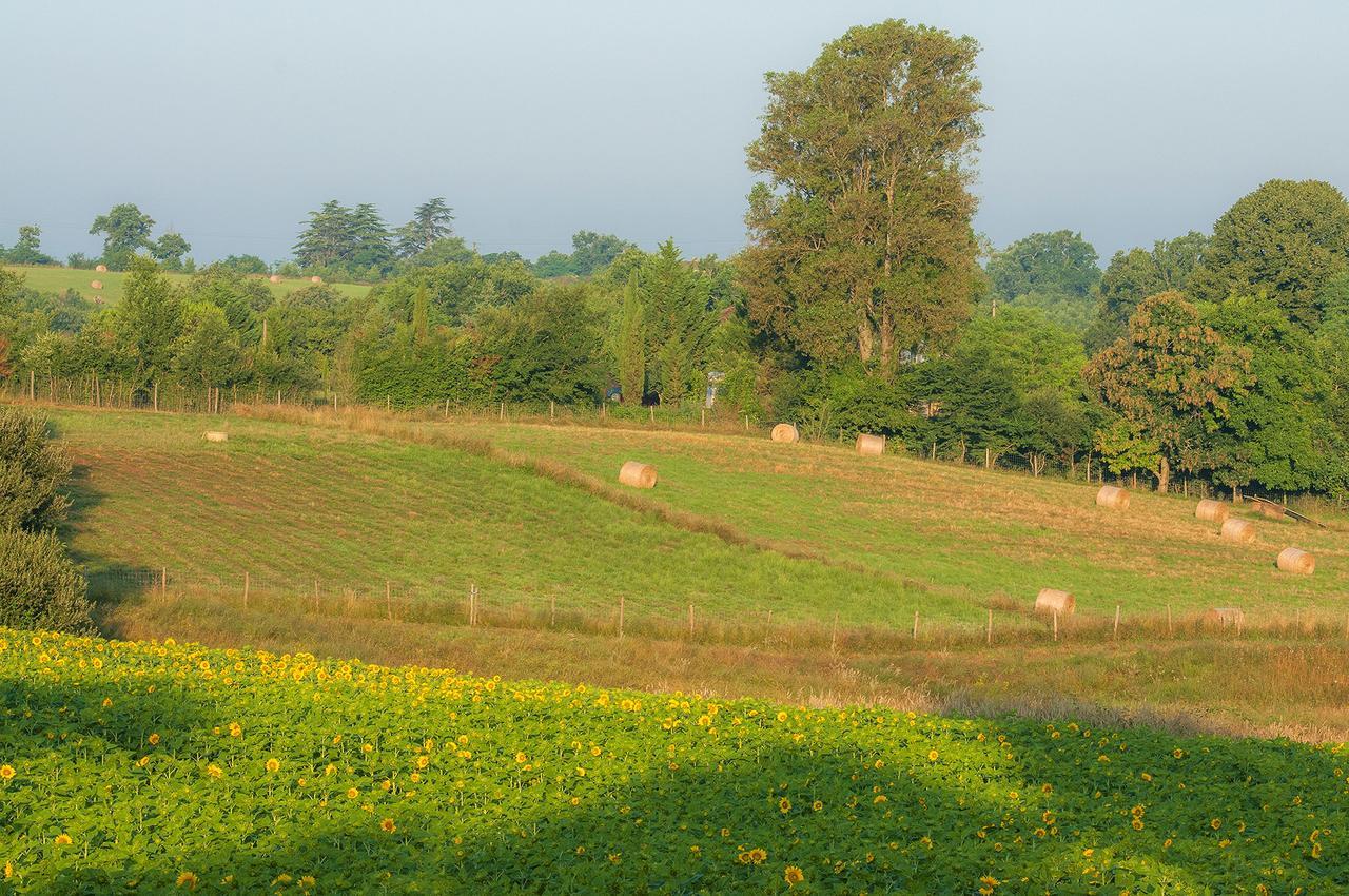 Les Maisons Du Golf D'Armagnac Eauze Buitenkant foto